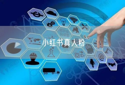 小红书真人粉