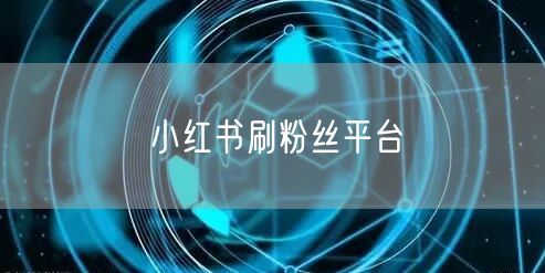 小红书刷粉丝平台