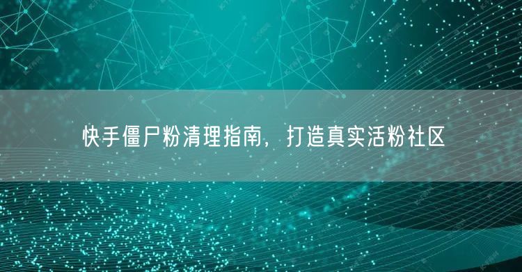 快手僵尸粉清理指南，打造真实活粉社区
