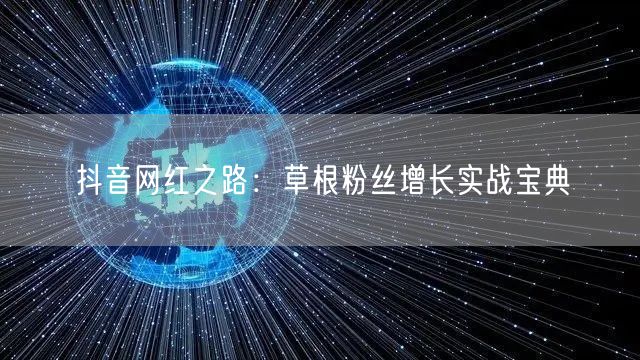 抖音网红之路：草根粉丝增长实战宝典